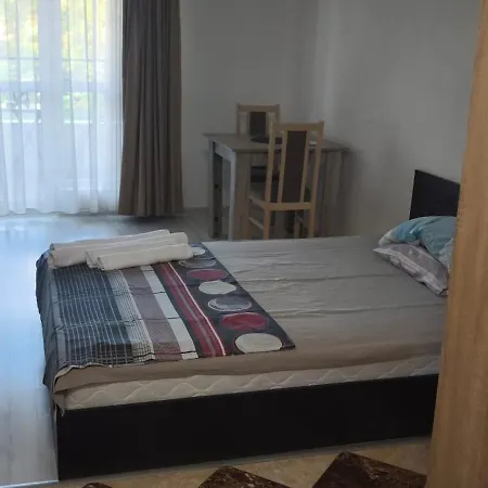 6-2 Hristo Stanechev 2- Dental *