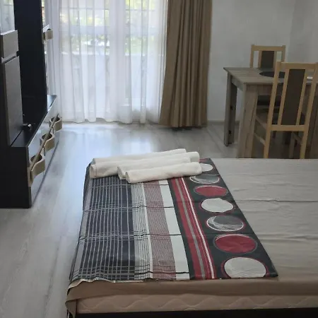 6-2 Hristo Stanechev 2- Dental *