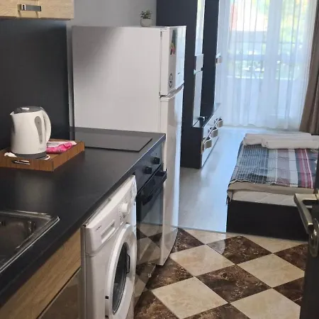 6-2 Hristo Stanechev 2- Dental *