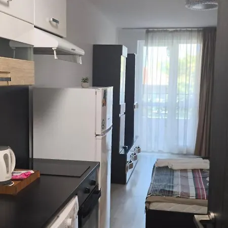 6-2 Hristo Stanechev 2- Dental Bŭnzarito